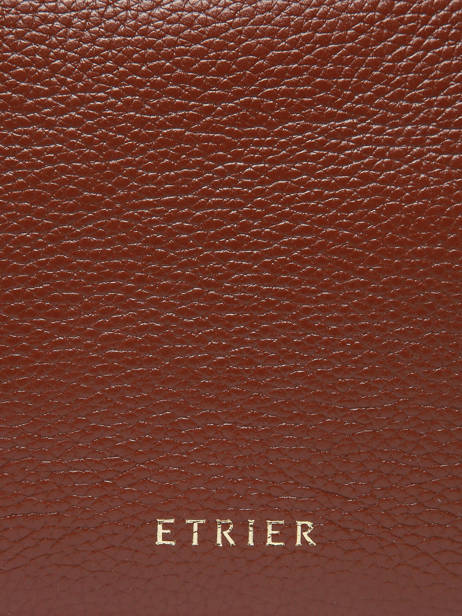 Luggage Tag Tradition Cuir Etrier Brown tradition ETRA901M other view 3